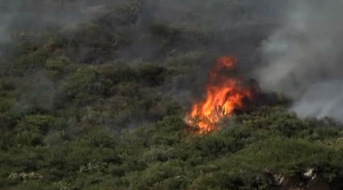 اسلام آباد: مارگلہ کی پہاڑوں کے تین مقامات پر آگ لگ گئی
