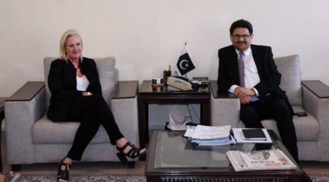 وفاقی وزیر خزانہ مفتاح اسماعیل سے امریکی ناظم الامور انجیلا ایگلر کی ملاقات