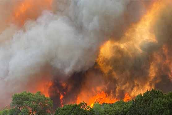 ٹیکساس: آگ لگنے سے 7 ہزار ایکڑ رقبے پر پھیلا جنگل جل کرراکھ