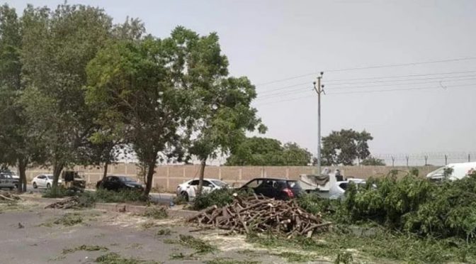 کراچی ،ریڈ لائن منصوبہ، سیکڑوں درخت کاٹ دئیے