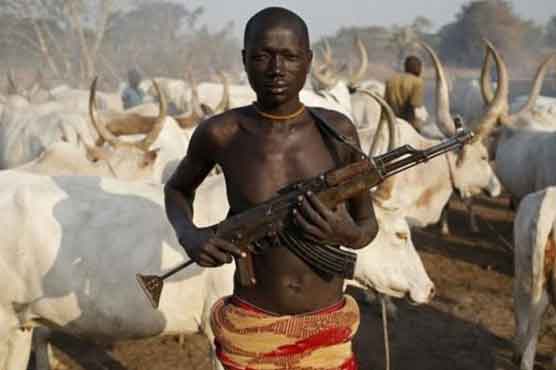 جنوبی سوڈان: مویشی چوری کرنے کی کوشش میں 28 افراد ہلاک