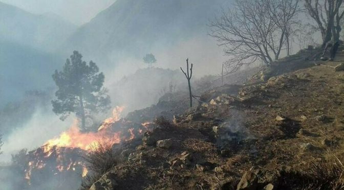 شانگلہ کے پہاڑوں میں آتشزدگی،4افراد جاں بحق