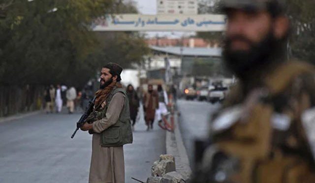 طالبان کی چھاپہ مار کارروائی میں مساجد حملوں کے 2 منصوبہ ساز ہلاک