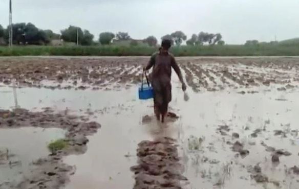 پنجاب: پولیو ورکر نے بارش اور سیلاب میں بھی کام سے مخلصی کی مثال قائم کردی