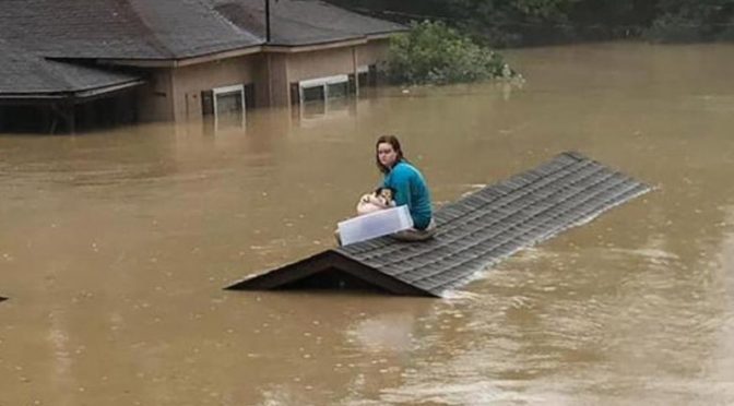 امریکی ریاست کینٹکی میں سیلاب، 37 افراد ہلاک، سڑکیں اور گھر زیر آب، ہزاروں لوگ بے گھر