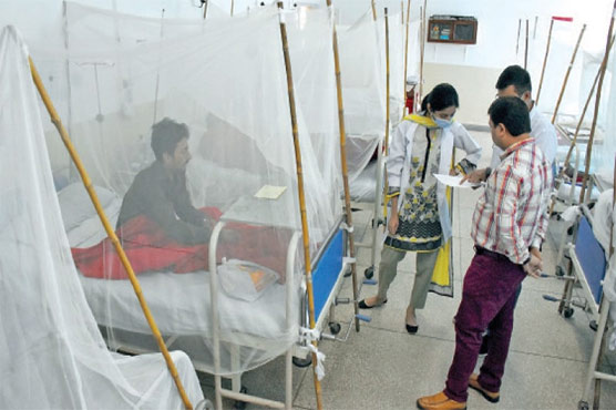 ڈینگی کا زور، کراچی، پشاور میں مزید 2 افراد چل بسے، سینکڑوں نئے مریض ریکارڈ