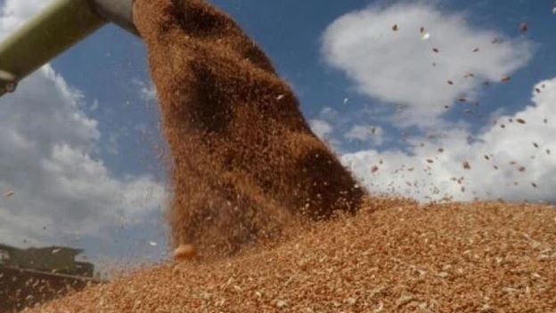 ای سی سی نے روس سے 3 لاکھ میٹرک ٹن گندم درآمدکرنےکی منظوری دے دی