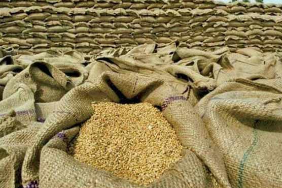 محکمہ خوراک پنجاب نے 26 ہزار میٹرک ٹن گندم ریلیز کر دی