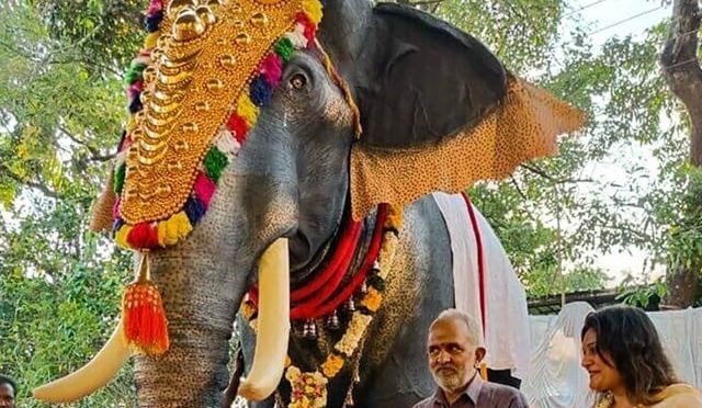 بھارتی مندر میں پوجا کے لیے اصل کی بجائےروبوٹ ہاتھی کا استعمال