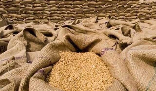 وزیر اعظم نے نگراں دور حکومت میں غیر ضروری خریدی گئی گندم کی تحقیقات کرانے کی منظوری دے دی